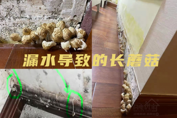 衛生間漏水維修必看的防水知識科普！